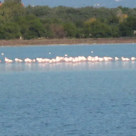 Il Ginepro Nature & Sea פוצו אידו